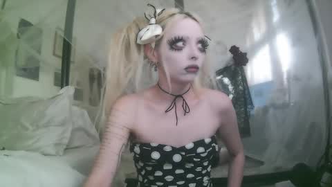 vampire fang  online show from December 19, 2025, 6:26 pm