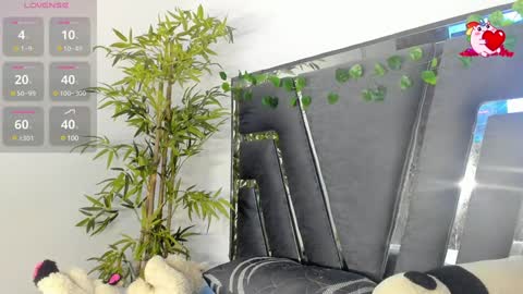 B L A C K  R O S E  online show from February 7, 2025, 11:34 am