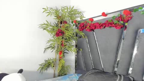 B L A C K  R O S E  online show from March 12, 2025, 2:56 pm