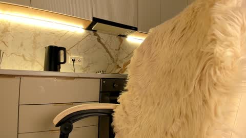 Snapshot of blackmilk_01 chatting on January 20, 2025, 7:36 am Karina online show from January 20, 2025, 7:36 am