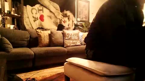 blackriches96 online show from February 17, 2026, 3:58 am