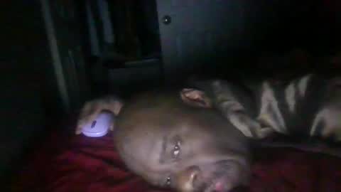 Snapshot of blackteddybear chatting on February 21, 2026, 11:33 am blackteddybear online show from February 21, 2026, 11:33 am