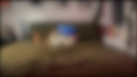Patty B online show from July 7, 2026, 12:46 am