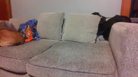 blaw_1321 online show from October 4, 2025, 6:22 am