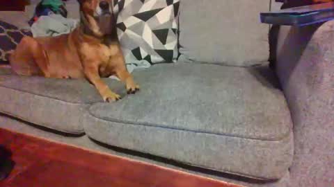 blaw_1321 online show from November 14, 2025, 8:57 am