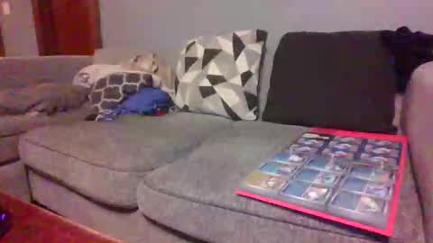 blaw_1321 online show from February 27, 2026, 9:31 am