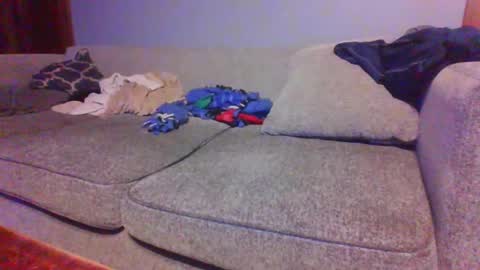 blaw_1321 online show from April 17, 2026, 7:55 am