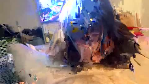 blowjob_bitch69 online show from April 27, 2026, 9:46 pm