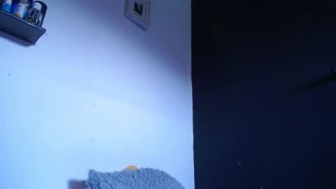 Snapshot of blue_morningstar chatting on September 22, 2025, 12:40 pm bunbury online show from September 22, 2025, 12:40 pm