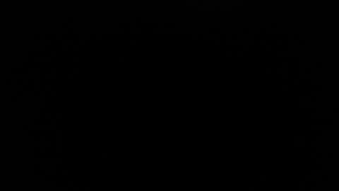 Snapshot of blue_morningstar chatting on October 13, 2025, 10:32 pm bunbury online show from October 13, 2025, 10:32 pm