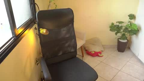 FLORAA online show from February 11, 2025, 10:26 am