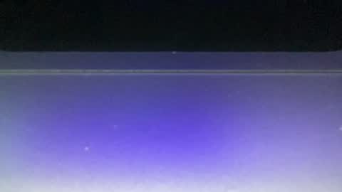 bluuuuuuub online show from December 29, 2024, 11:08 pm