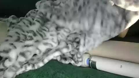 Snapshot of blyss666 chatting on October 28, 2025, 9:39 pm lyss online show from October 28, 2025, 9:39 pm