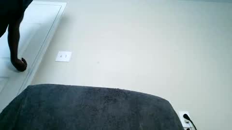 bobbiebone and company online show from March 11, 2025, 6:19 pm