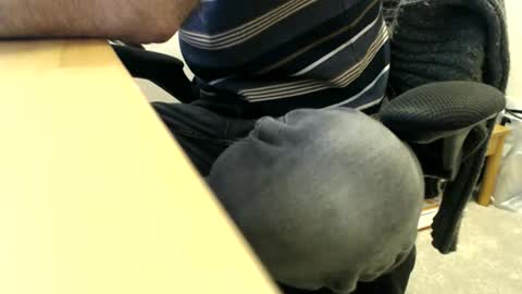 bobbuild online show from March 30, 2026, 8:26 am