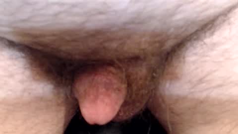 bobswan online show from April 13, 2026, 6:35 pm