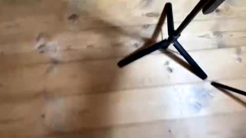 Nail and Olivia online show from December 4, 2025, 10:57 am