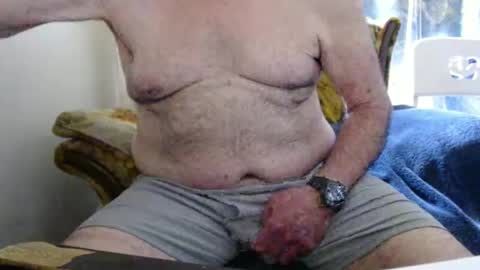 bolbil1 online show from April 26, 2026, 3:42 pm