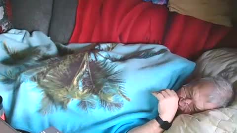 Bomber59potsdam online show from January 28, 2025, 10:02 am