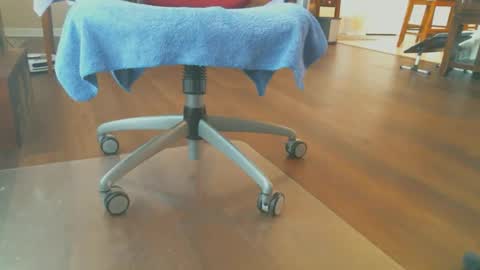 FRECKLES online show from December 15, 2025, 1:37 pm