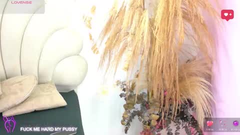 bonieklent online show from February 3, 2026, 3:26 am