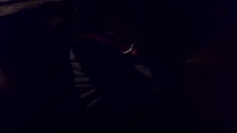 Bonkooooo online show from February 8, 2026, 4:27 am