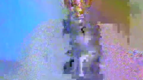 Snapshot of boobbyb chatting on October 24, 2025, 8:22 am boobbyb online show from October 24, 2025, 8:22 am