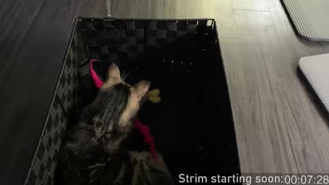 Booker Baxton online show from October 26, 2025, 3:01 am