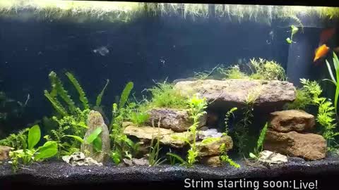 Booker Baxton online show from December 4, 2025, 4:11 am