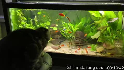 Booker Baxton online show from March 18, 2026, 2:58 am