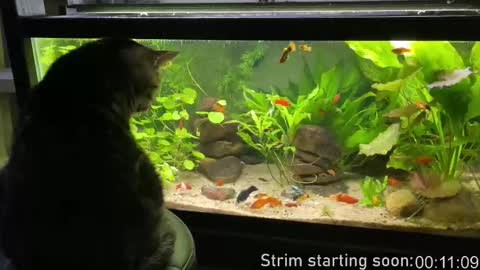 Booker Baxton online show from March 19, 2026, 2:59 am