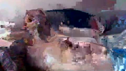 Snapshot of boomer64814390 chatting on July 12, 2026, 7:32 am boomer64814390 online show from July 12, 2026, 7:32 am
