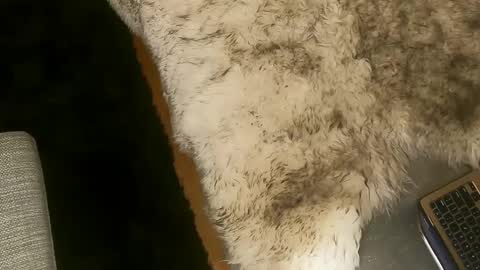 Kim and Kooper online show from March 7, 2025, 2:25 am