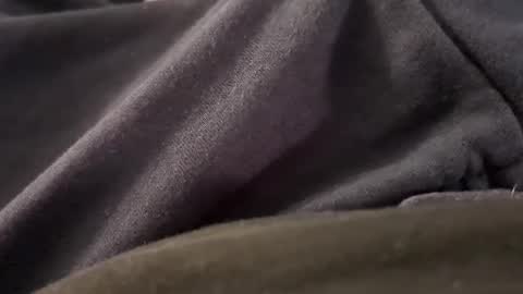 Borderslad1101 online show from November 7, 2025, 5:13 pm