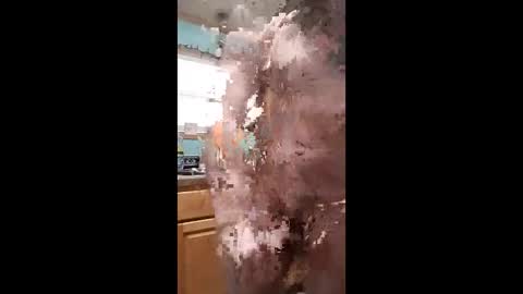 bossusaround online show from January 11, 2026, 10:04 pm