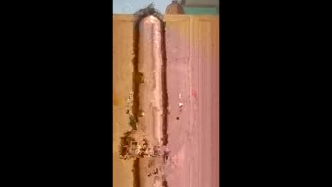 bossusaround online show from February 9, 2026, 5:50 pm