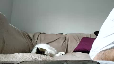 Dan online show from April 15, 2026, 1:29 pm