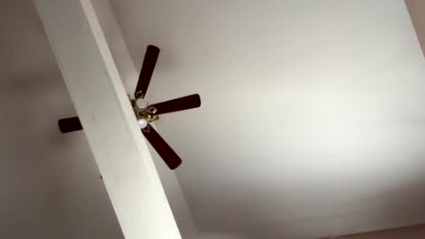 boysetsfire34 online show from November 8, 2025, 5:23 pm