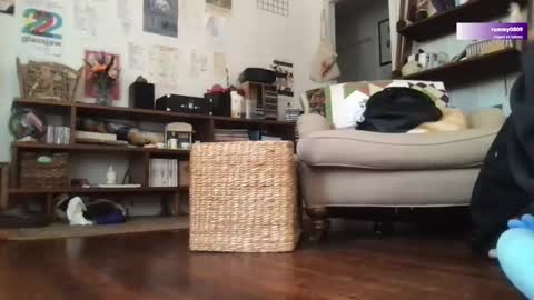 Snapshot of boywithbug chatting on March 12, 2025, 6:44 pm boywithbug online show from March 12, 2025, 6:44 pm