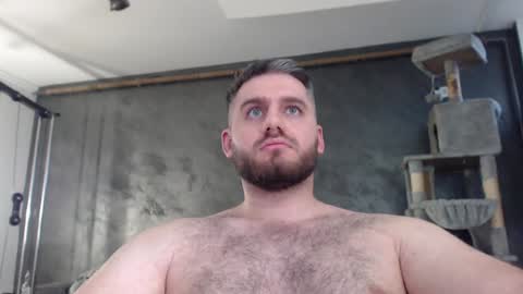 Snapshot of brad_pittfall chatting on December 5, 2024, 7:27 am ask me online show from December 5, 2024, 7:27 am