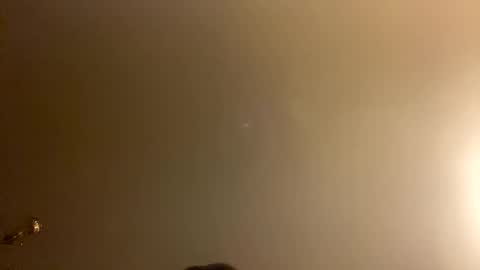 Brain Ortega online show from February 28, 2026, 1:01 pm