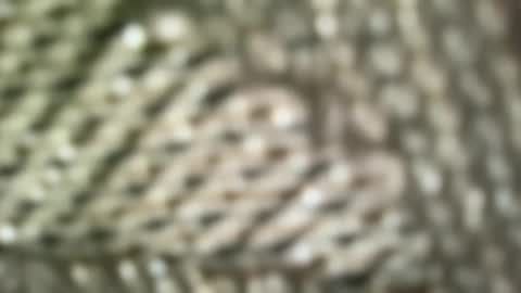 brandonconrad online show from February 7, 2026, 6:44 pm