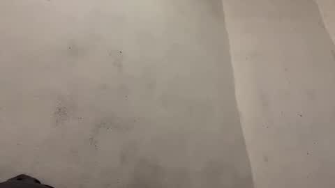 breanexe online show from October 29, 2025, 11:01 am