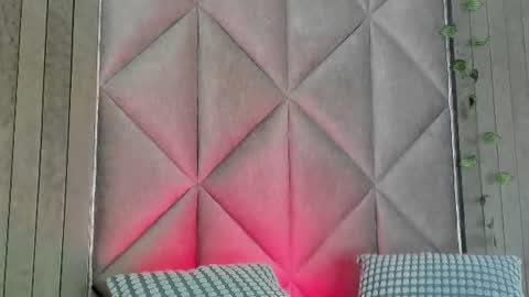 Snapshot of briaconner_ chatting on July 14, 2026, 2:49 am B R I A online show from July 14, 2026, 2:49 am