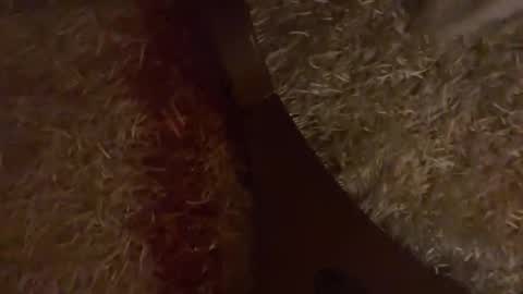 Brian boy online show from October 28, 2025, 3:25 pm