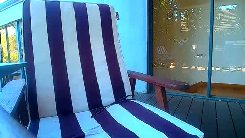 Snapshot of bridie3079 chatting on February 20, 2026, 6:19 am Fun Monster online show from February 20, 2026, 6:19 am