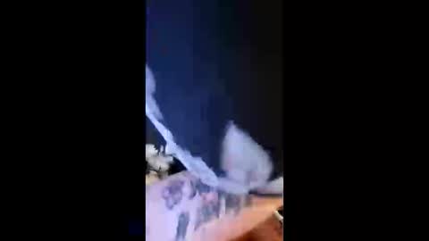 Leela Marie xo online show from April 13, 2026, 11:54 pm