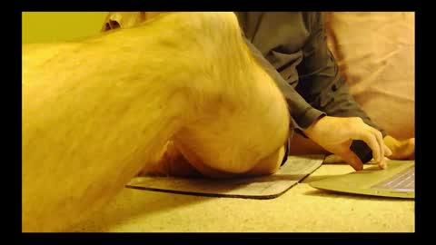 Snapshot of brode3 chatting on January 6, 2026, 4:05 am brode3 online show from January 6, 2026, 4:05 am