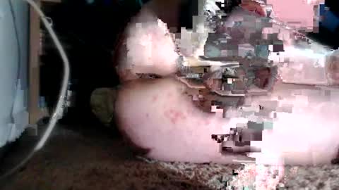 Snapshot of bubblebuttnnut chatting on June 11, 2026, 1:38 am bubblebuttnnut online show from June 11, 2026, 1:38 am