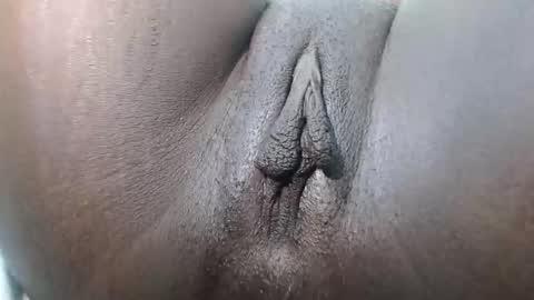 bujju456 online show from November 8, 2025, 4:23 am